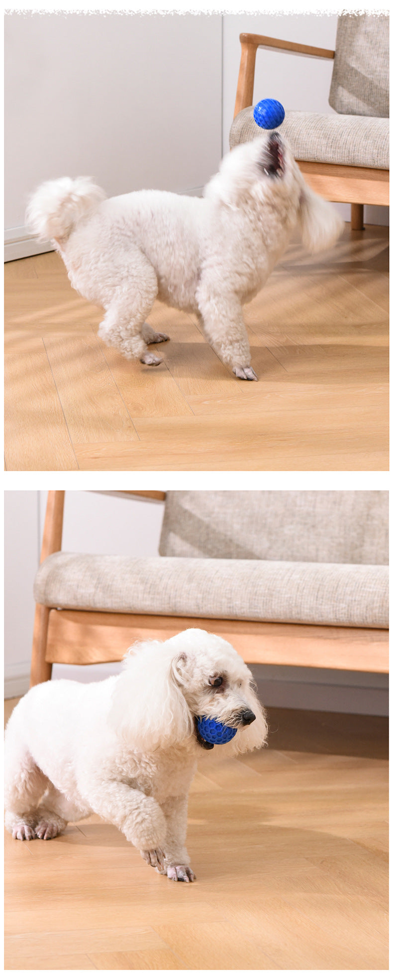 Aisenka Honeycomb Sound Ball (Dog Toy Ball, Sound-Producing, Durable, Chew-Resistant, Teeth-Grinding, Entertainment-Providing Pet Toy)