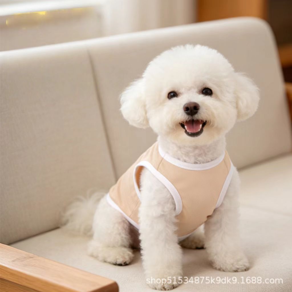 New spring/summer dog clothing (suitable for small breeds like Poodles, Teddy Bears, and Panda Mi) – lightweight and breathable pet apparel, pet accessories.