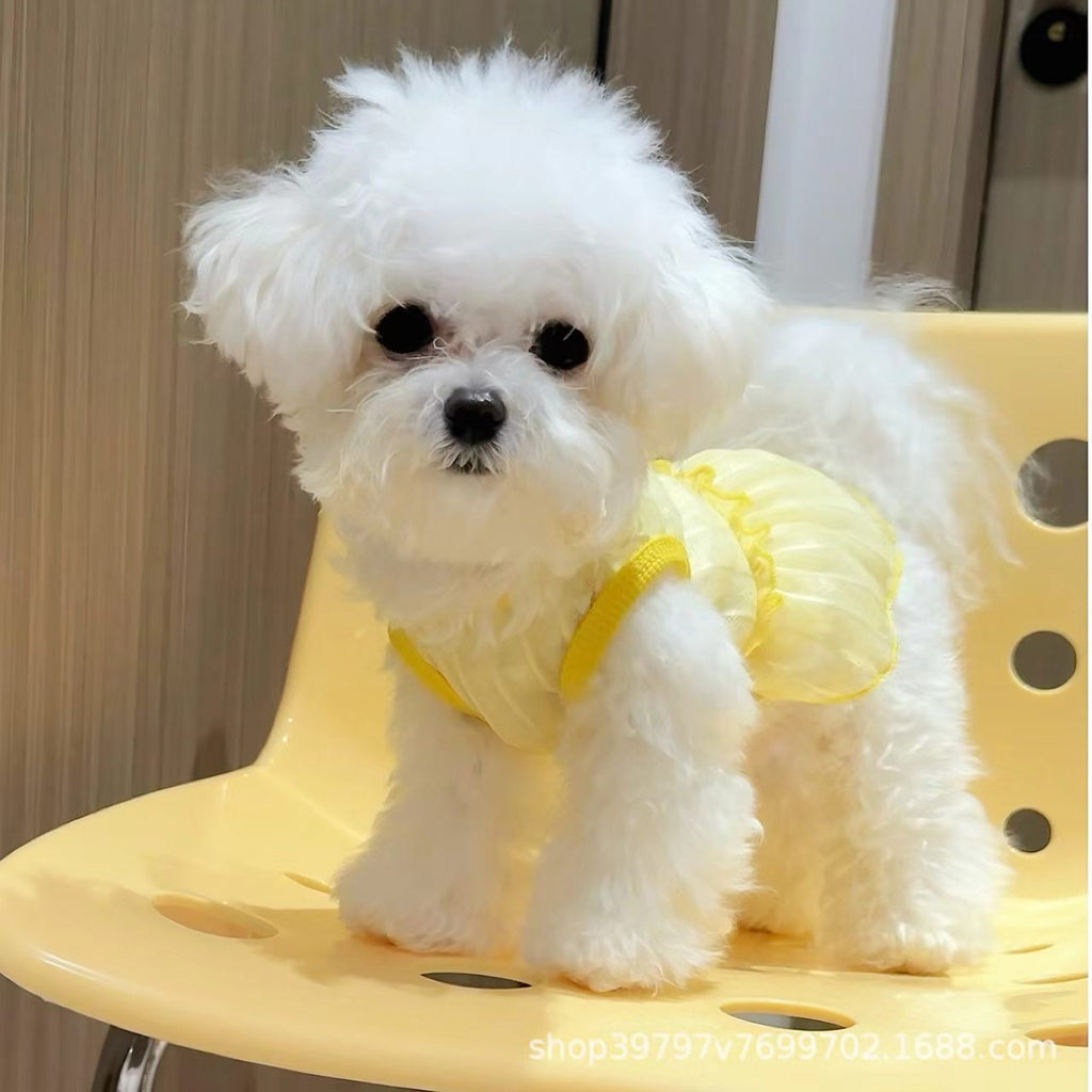 Pet clothing – lace-patterned heart-shaped dress (pet dog outfit, cat summer lightweight breathable and sun-protective, Pomeranian wholesale)