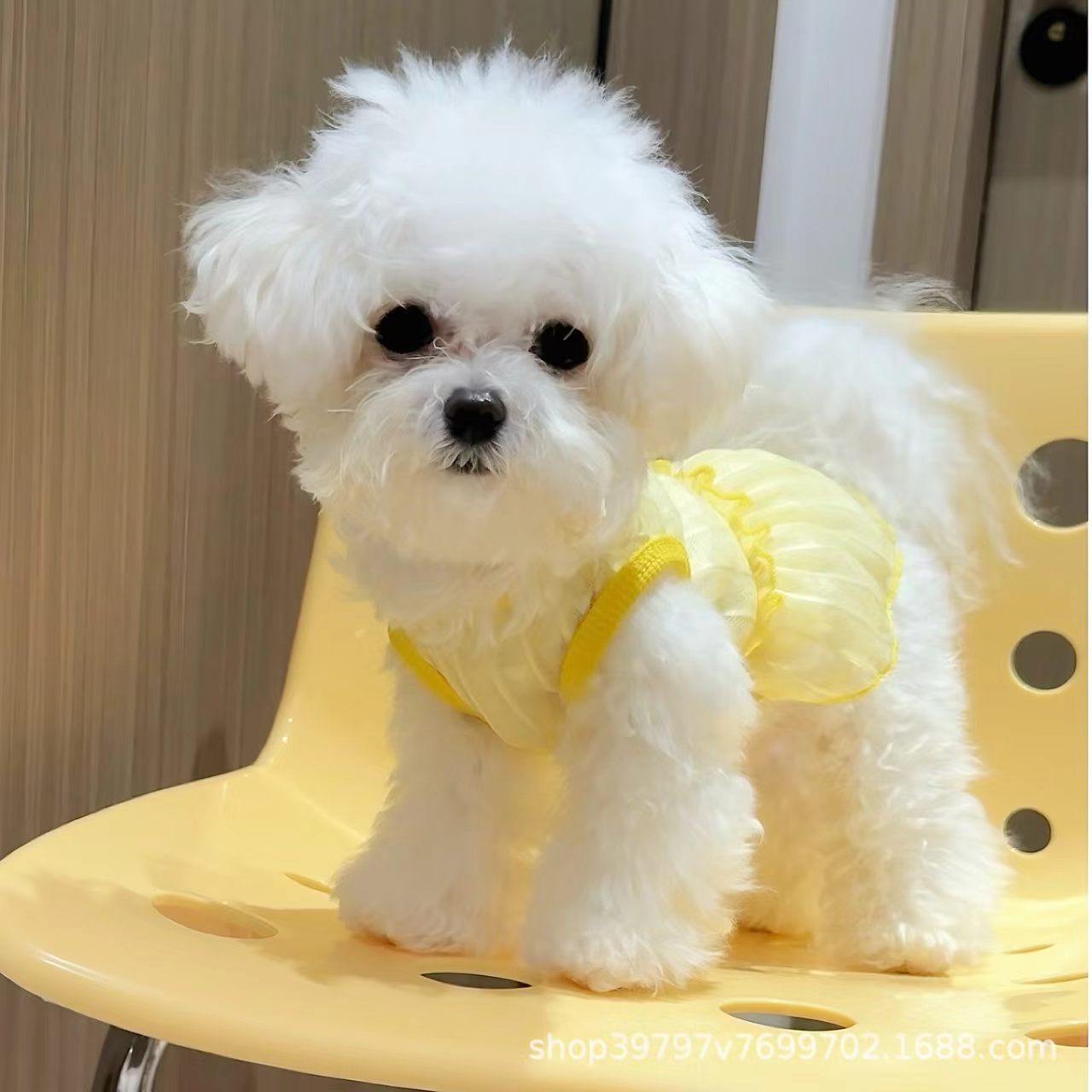 Pet clothing – lace-patterned heart-shaped dress (pet dog outfit, cat summer lightweight breathable and sun-protective, Pomeranian wholesale)
