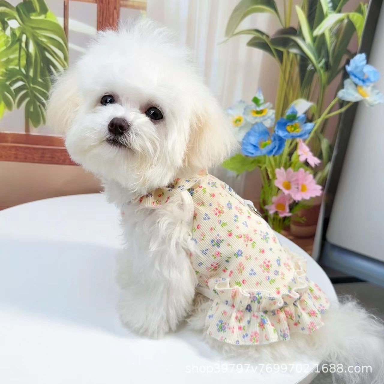 Pet dog and cat clothing, pet fashion, spring/summer floral dress, fresh and cute princess dress, lightweight and breathable Pi Bear style.