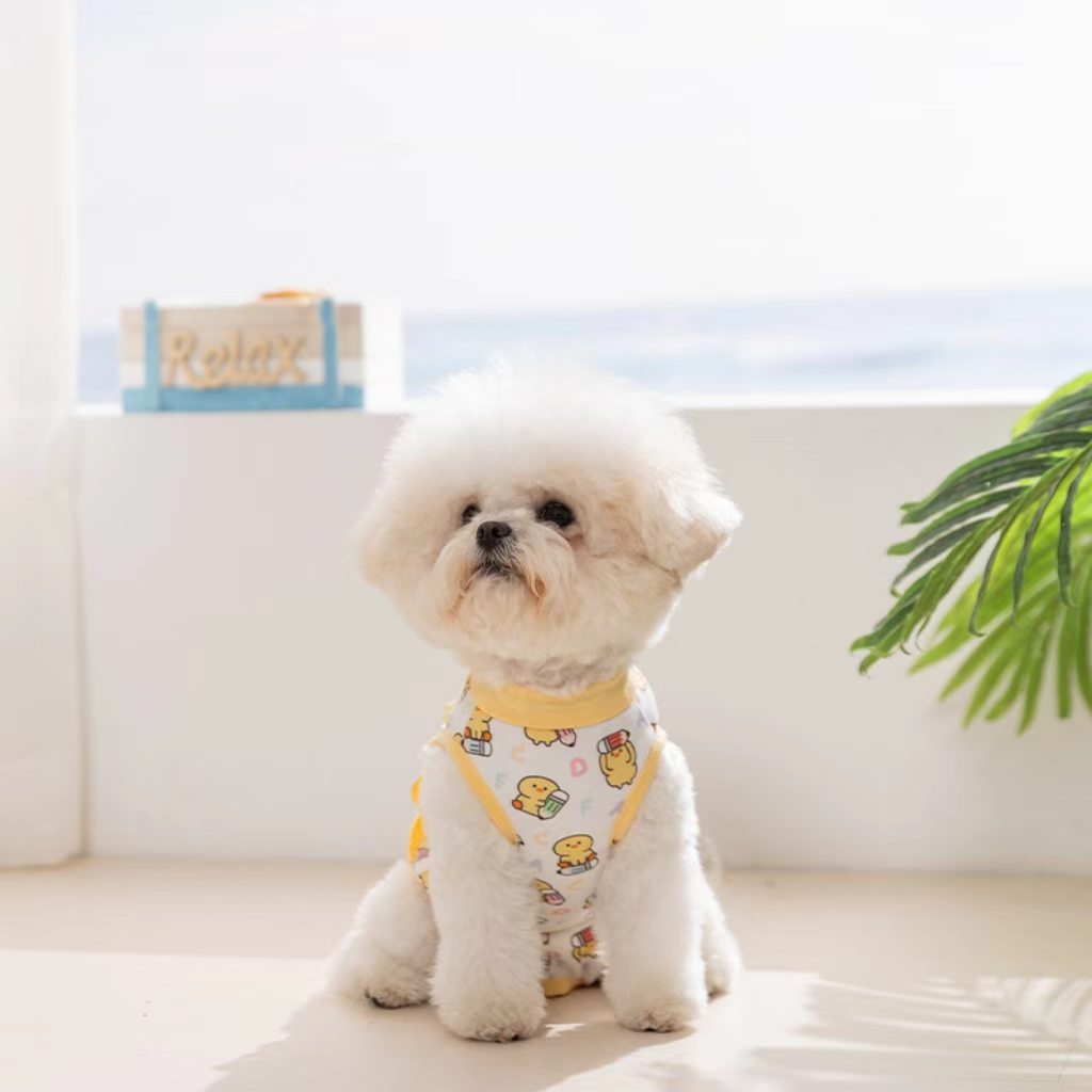 2026 New Release Pet Fashion for Hippi Dogs: Cat Surgery Suit, Small Dog Post-Operation Garment, Four-Legged Cat Dog Sterilization Suit