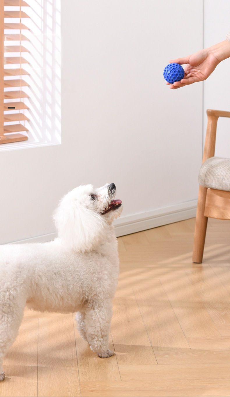 Aisenka Honeycomb Sound Ball (Dog Toy Ball, Sound-Producing, Durable, Chew-Resistant, Teeth-Grinding, Entertainment-Providing Pet Toy)