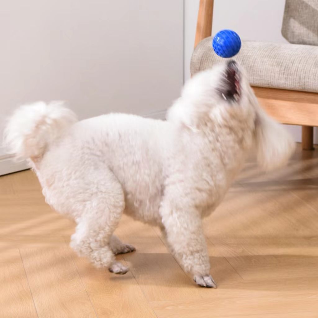 DISSKNIC Indestructible Squeaky Dog Ball, Relieves Anxiety, Cleans Teeth, Interactive Chew Toy for Aggressive Chewers, Dog Toy for Large Breeds, Outdoor...