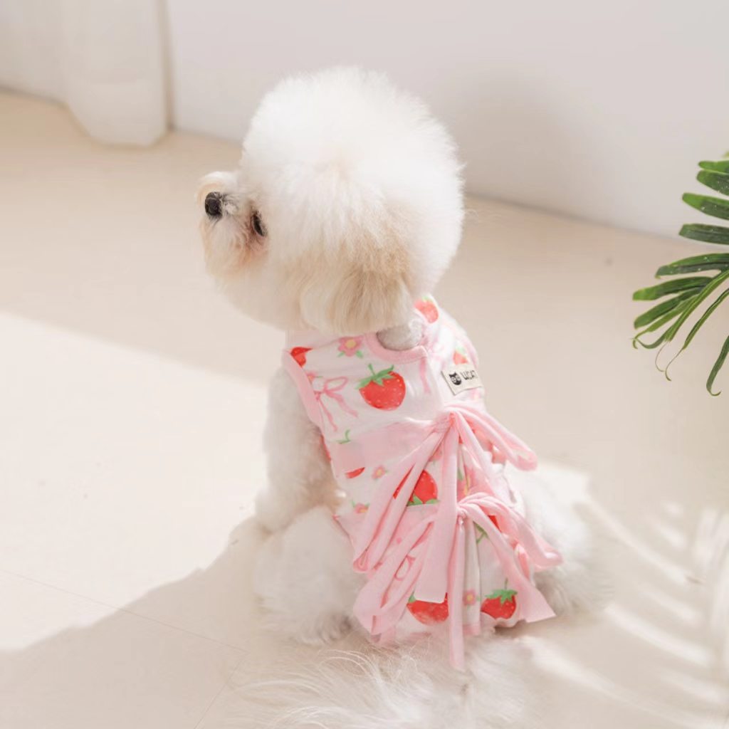 2026 New Release Pet Fashion for Hippi Dogs: Cat Surgery Suit, Small Dog Post-Operation Garment, Four-Legged Cat Dog Sterilization Suit