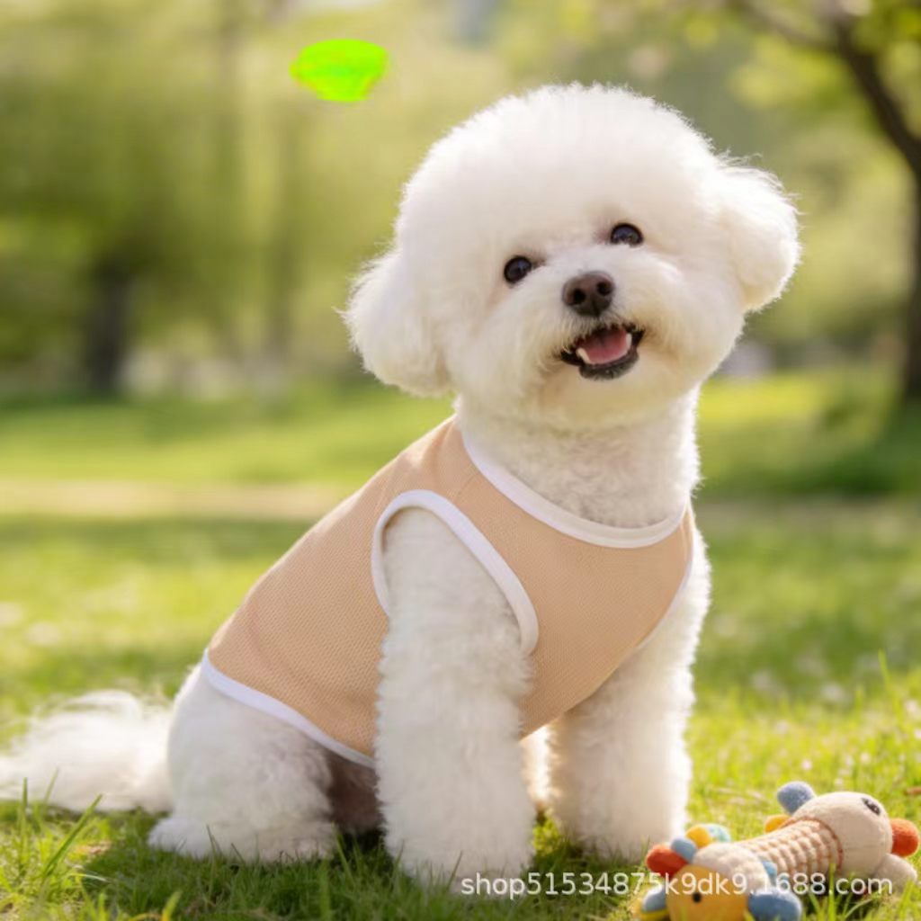 New spring/summer dog clothing (suitable for small breeds like Poodles, Teddy Bears, and Panda Mi) – lightweight and breathable pet apparel, pet accessories.