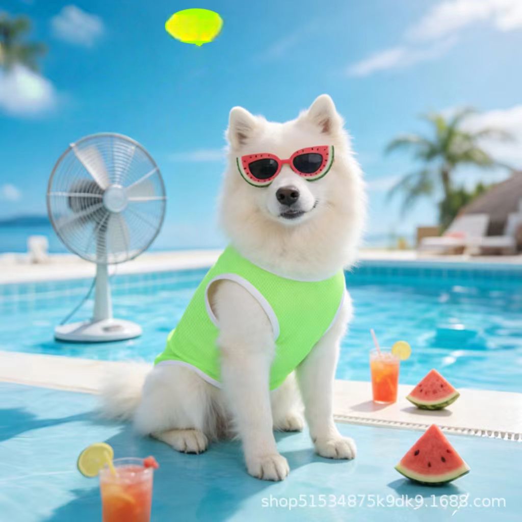 New spring/summer dog clothing (suitable for small breeds like Poodles, Teddy Bears, and Panda Mi) – lightweight and breathable pet apparel, pet accessories.