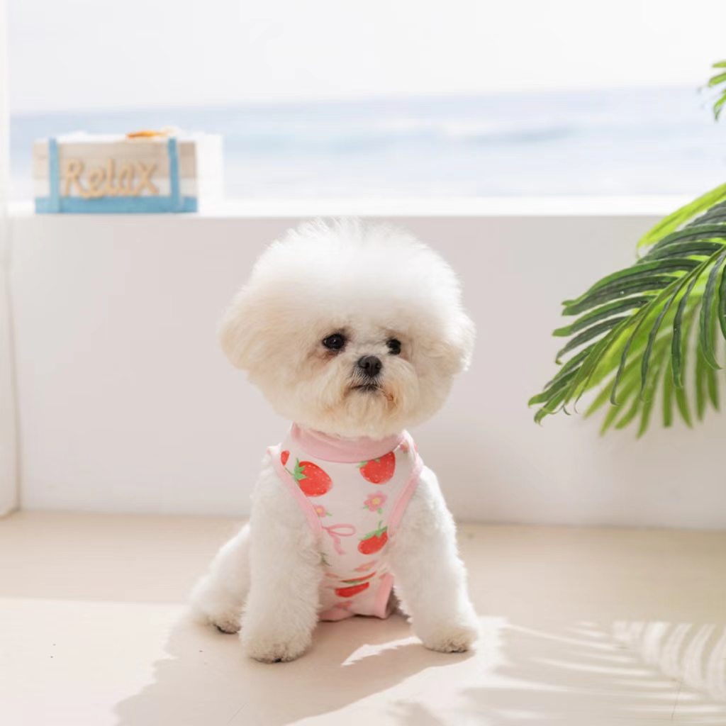 2026 New Release Pet Fashion for Hippi Dogs: Cat Surgery Suit, Small Dog Post-Operation Garment, Four-Legged Cat Dog Sterilization Suit