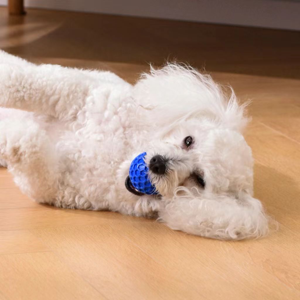 DISSKNIC Indestructible Squeaky Dog Ball, Relieves Anxiety, Cleans Teeth, Interactive Chew Toy for Aggressive Chewers, Dog Toy for Large Breeds, Outdoor...