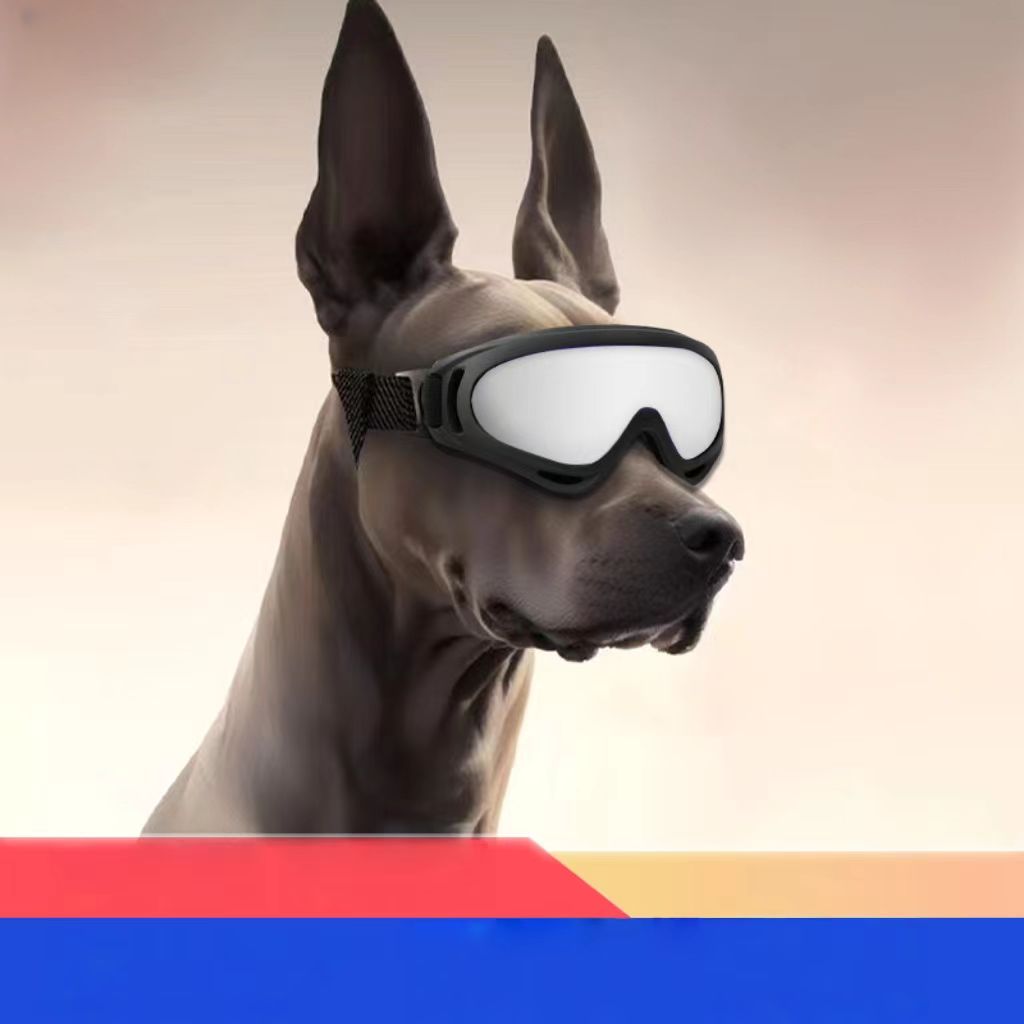 Direct factory sale of pet eyeglasses – dog sunglasses (for medium to large-sized dogs), UV-protection goggles for police dogs and military dogs.