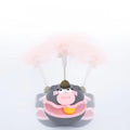New cat toy for entertainment and self-amusement – a rotating disc passage, cat-petting stick, pet accessory track, and a large-mouthed toppling doll.