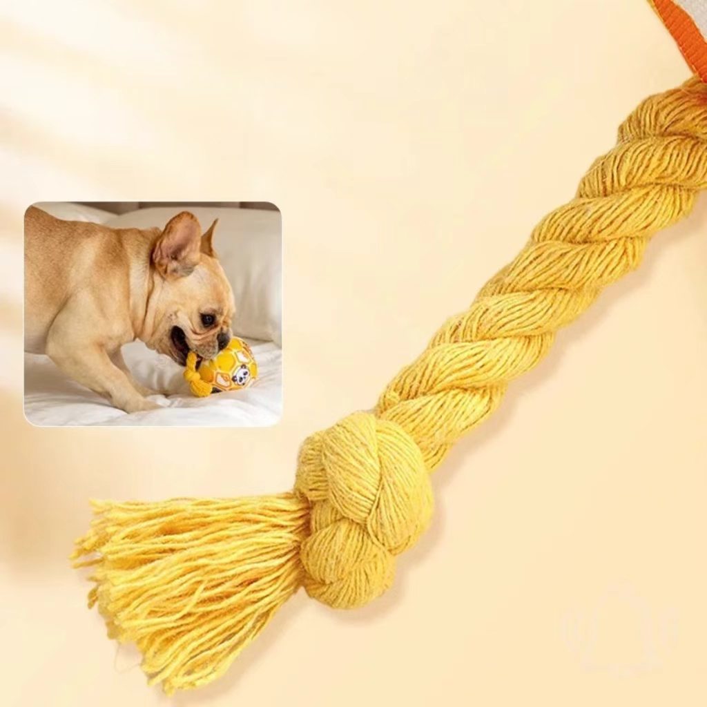 Dog toy ball that makes sounds to alleviate boredom, helps with teething, and is durable for chewing – suitable for small pet dogs like Yorkshire Terriers and Poodles – pet accessory.