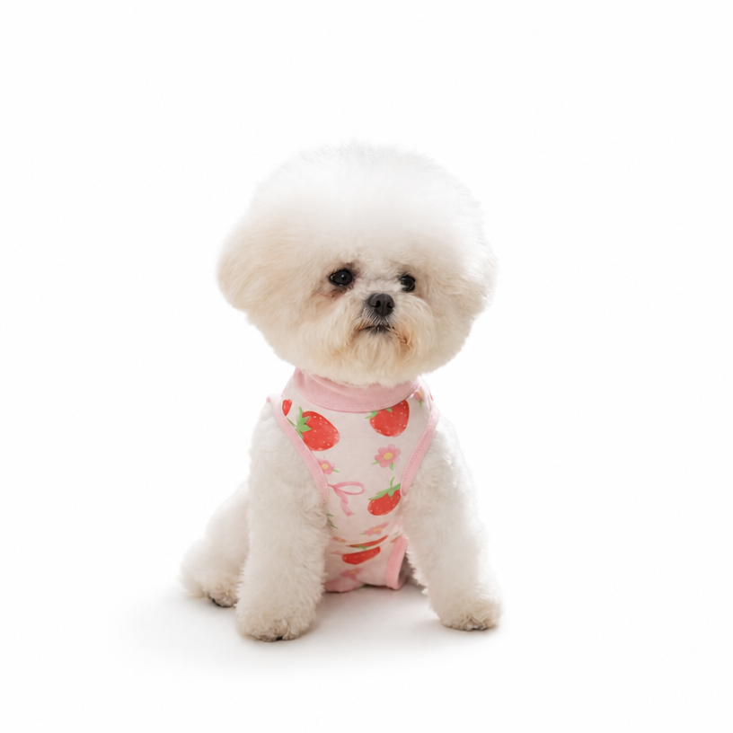 2026 New Release Pet Fashion for Hippi Dogs: Cat Surgery Suit, Small Dog Post-Operation Garment, Four-Legged Cat Dog Sterilization Suit