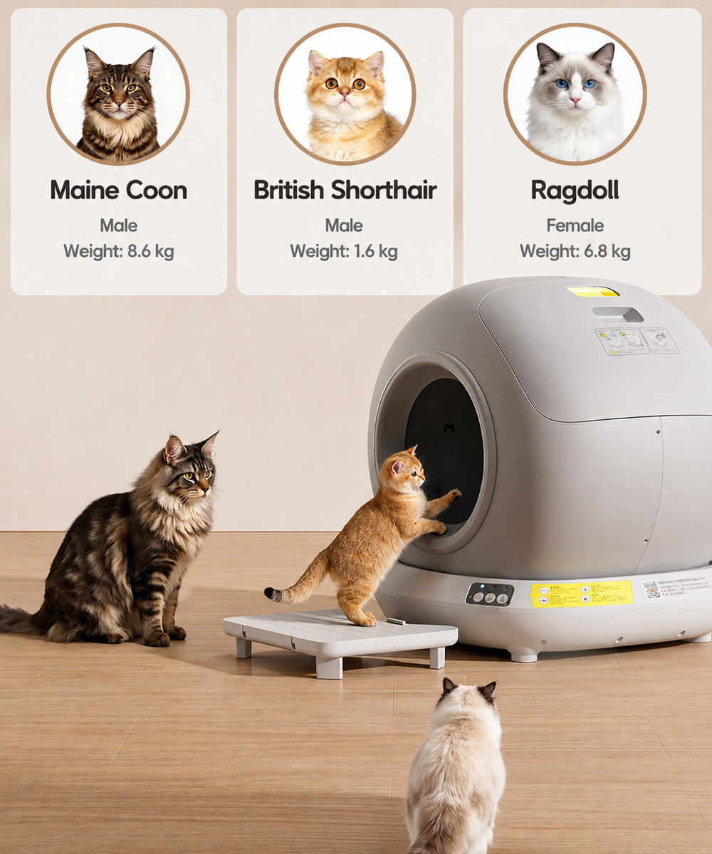 Hot-smart cat litter Basin