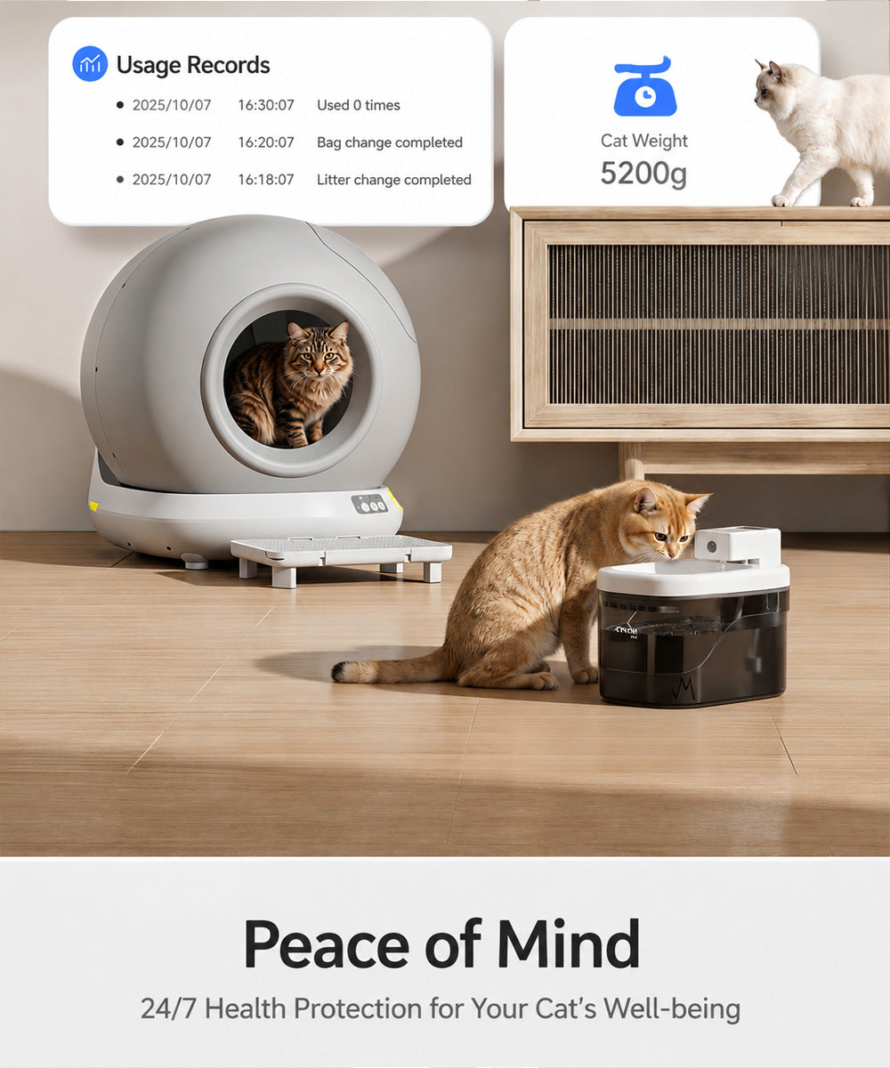 Hot-smart cat litter Basin