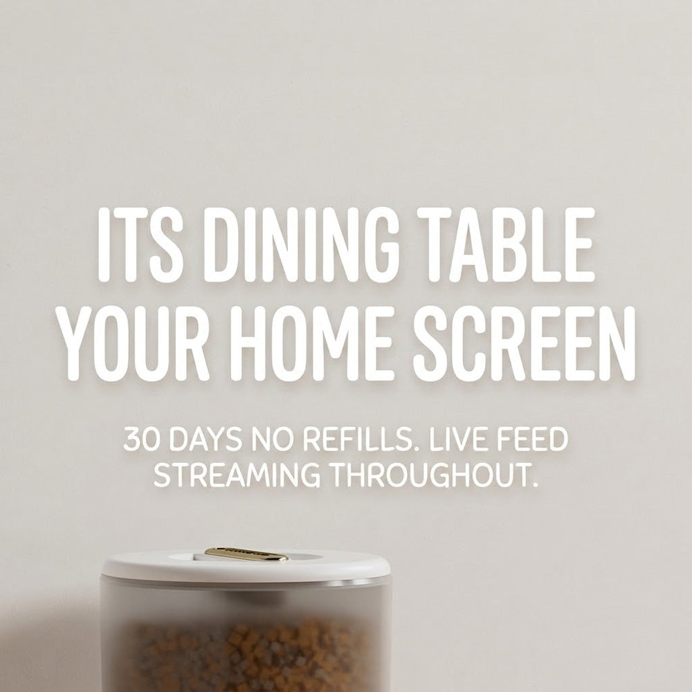 WS11 Smart Feeder – Button Model
